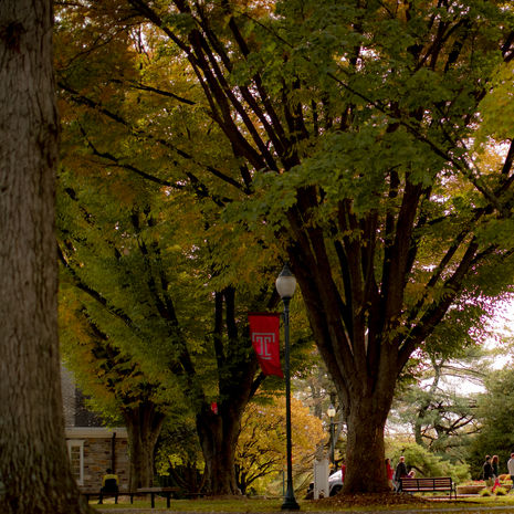 ambler campus on a beautiful fall day