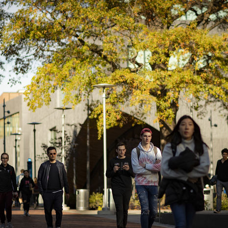 Students walking across campus on a fall day