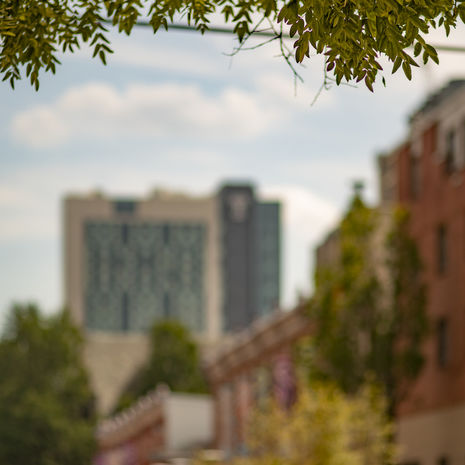 Image of Temple University Morgan hall with brick university buildings in foreground