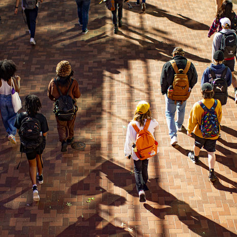 Students walking down Polett Walk on a sunny day