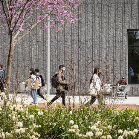 Students walking by Charles Library on Main Campus on a sunny day