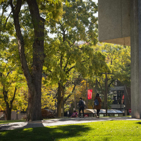 students walking in front of Paley library on sunny day on Temple's campus