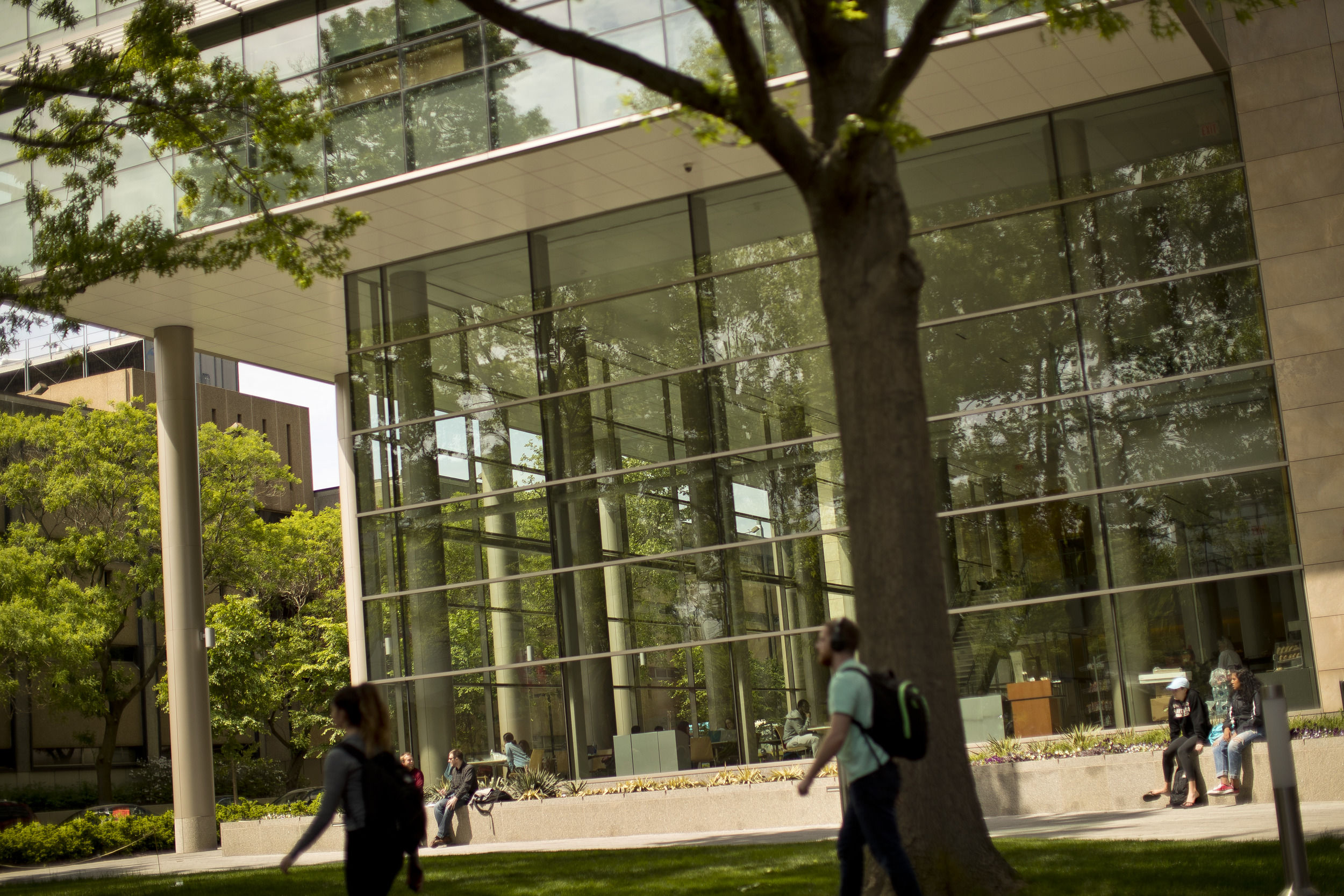 Students walking across campus on a sunny day.