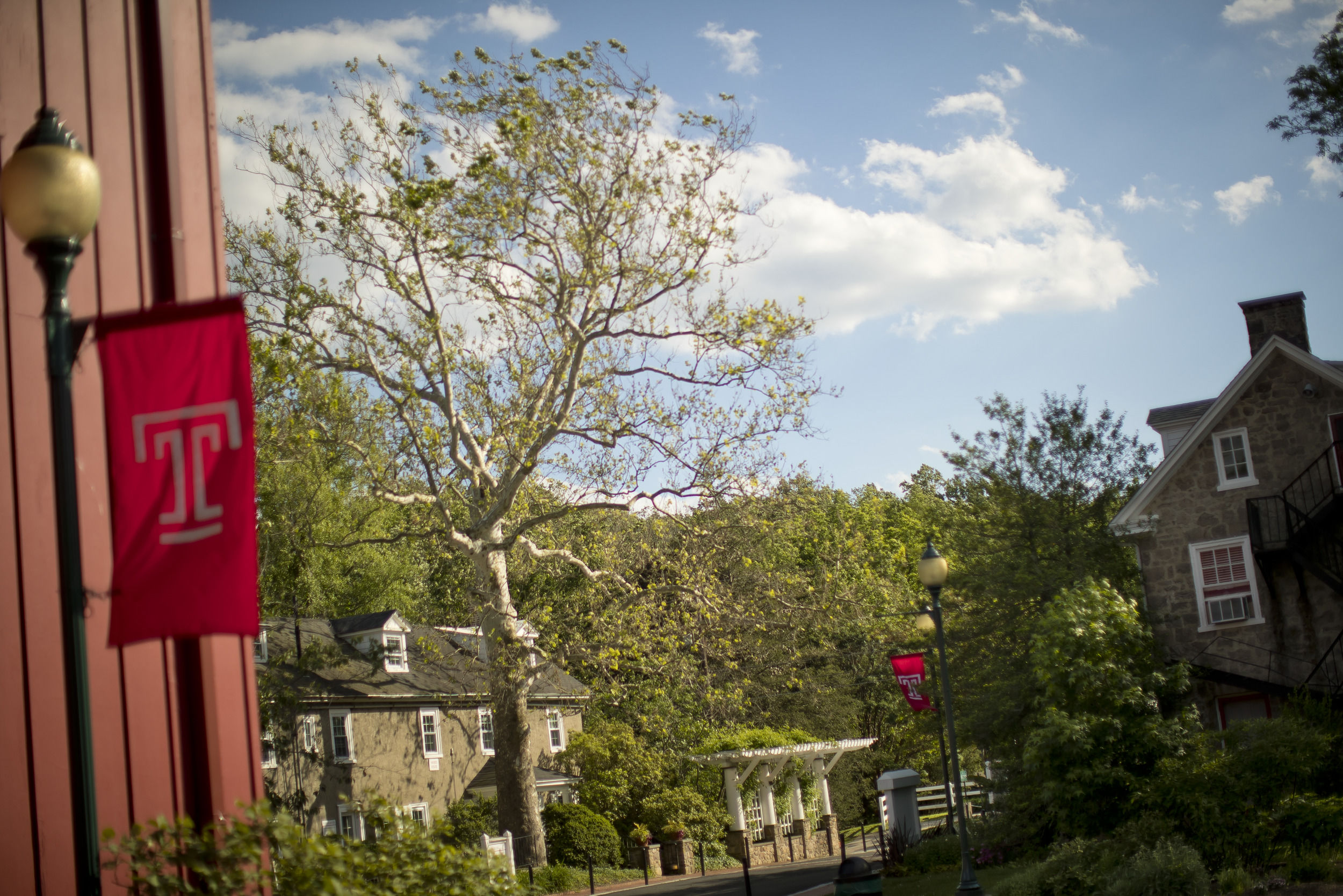 A shot of Temple Ambler Campus.