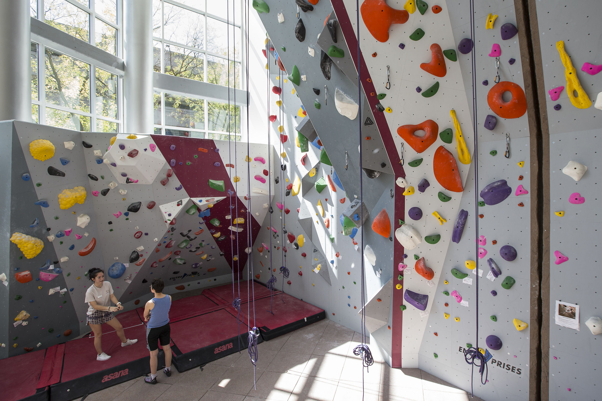 the rock climbing wall in the STAR Complex.