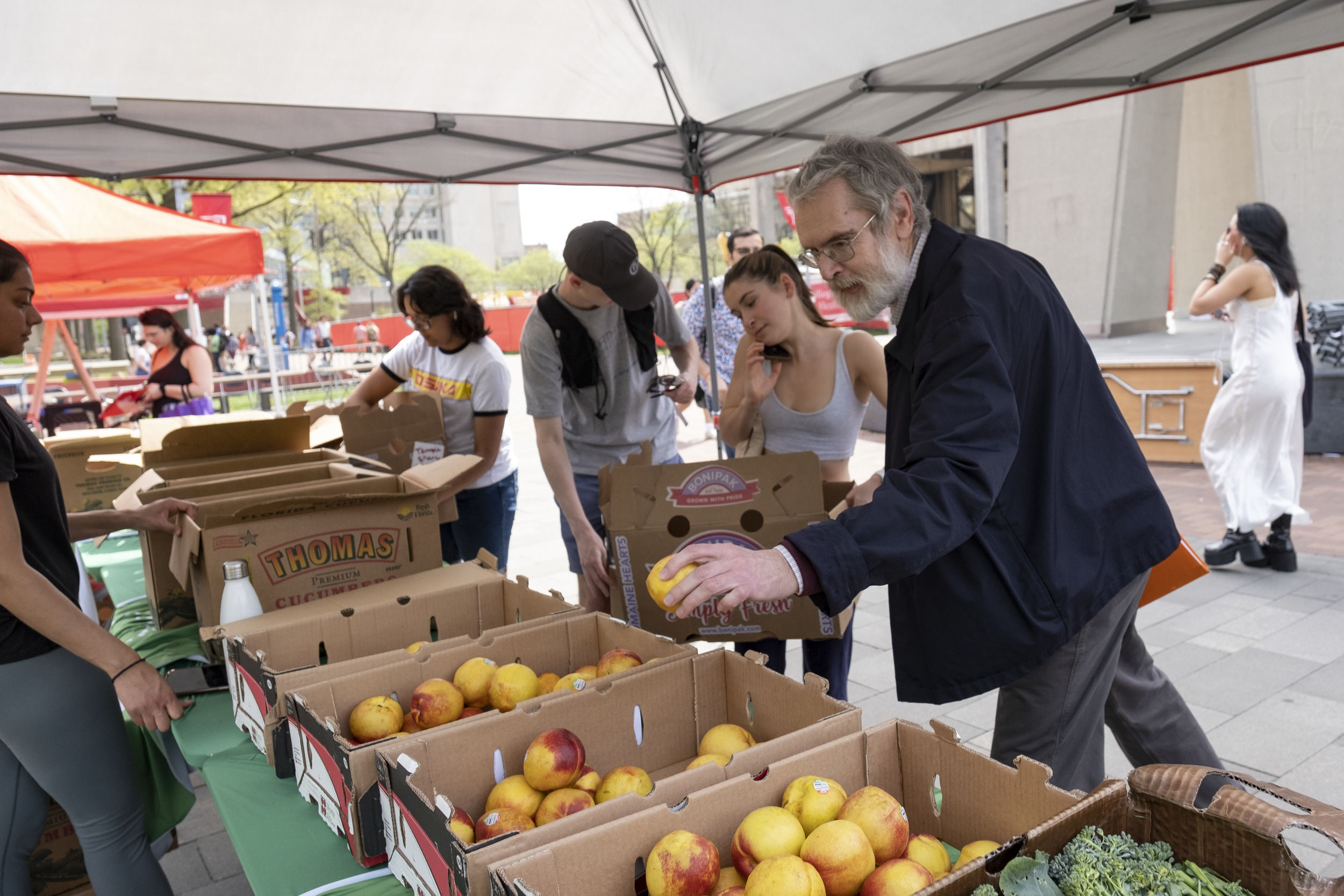 Community members shopping for local produce at the Share Fair. 