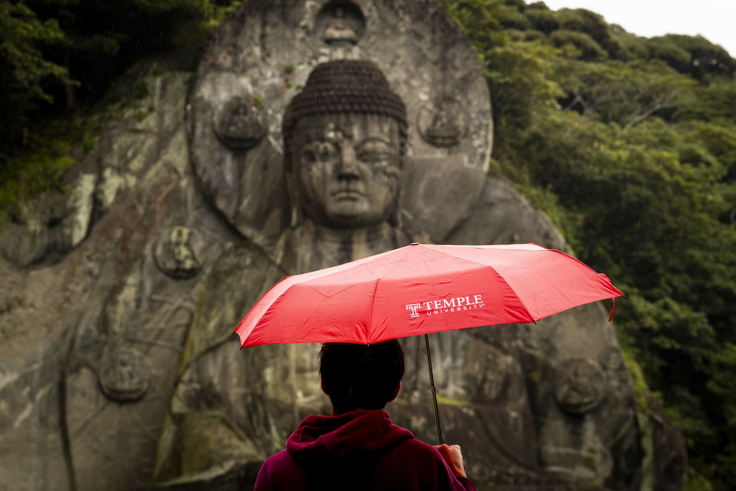 A student holds a Temple branded umbrella over their head while looking at an ancient carving in stone in Japan.