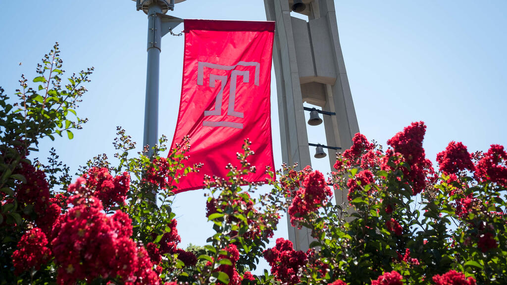The Temple T cherry red flag waves above rose bushes on Main Campus