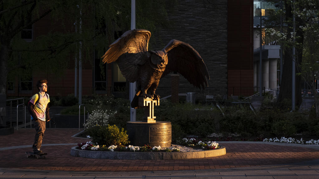 Owl statue during golden hour. 