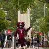 Temple's mascot Hooter the Owl posting on Polett Walk