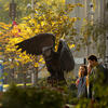 Owl Statue