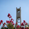 Bell tower with pink flowers in foreground