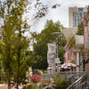 Liacouras walk with Temple University flags and trees along the walk