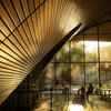 Inside Charles Library, sun is shining onto walls, students are studying in background.