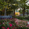 a shot outside of OConnor Plaza.