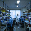 Students work in a lab.