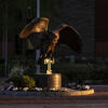 Owl statue during golden hour. 