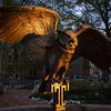 Owl Statue on Campus