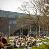 Students gathering on Main Campus on a sunny day 