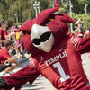 Hooter the owl with arms open
