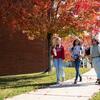 three students walking across Temple Ambler Campus on a fall day.