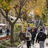 Students walking through campus