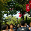 Beasley Walk. Trees with Temple Flags and students walking underneath
