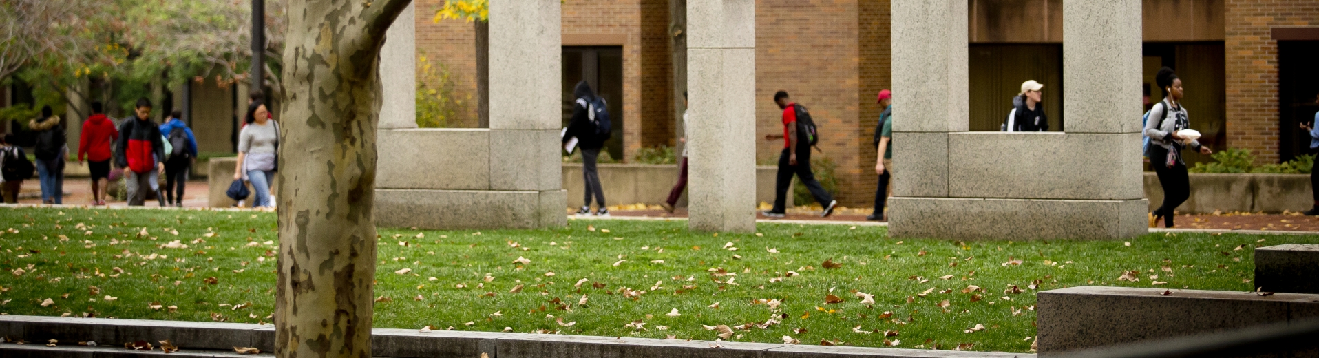 Temple University Undergraduate Admissions Apply | Temple University Office of Undergraduate Admissions