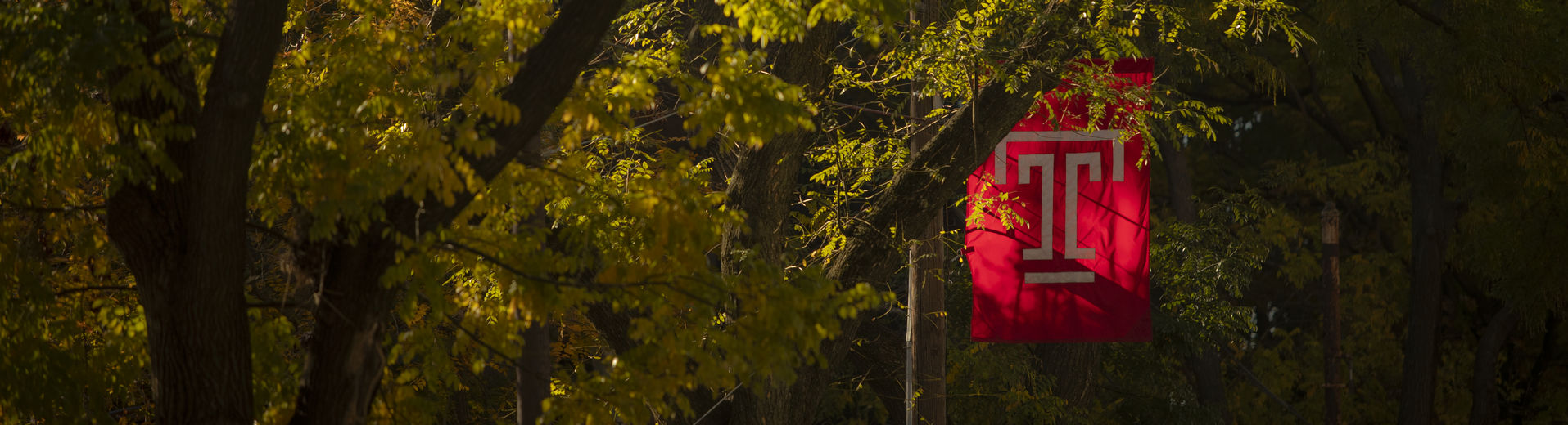 Temple flag nested in trees