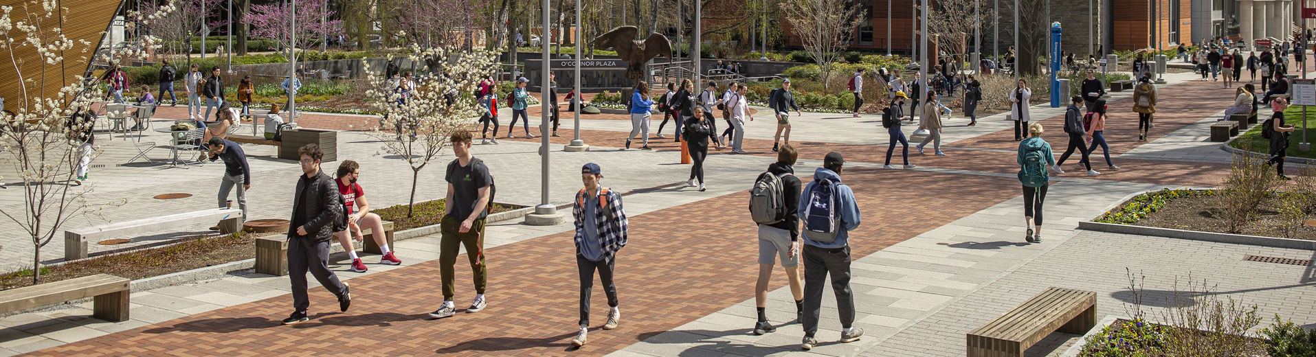 students walking across campus on a spring day.