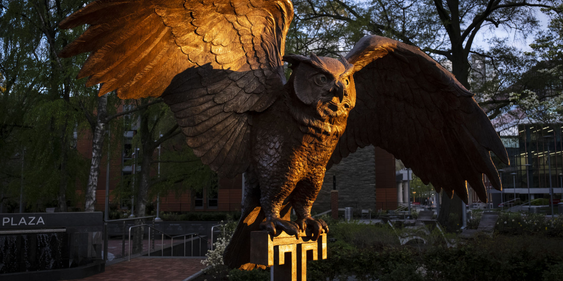 Owl Statue on Campus